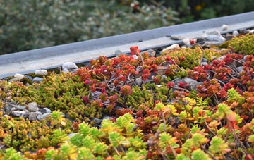 the cost of Reeds Holme green roof installation