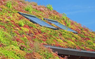 Reeds Holme living roof systems